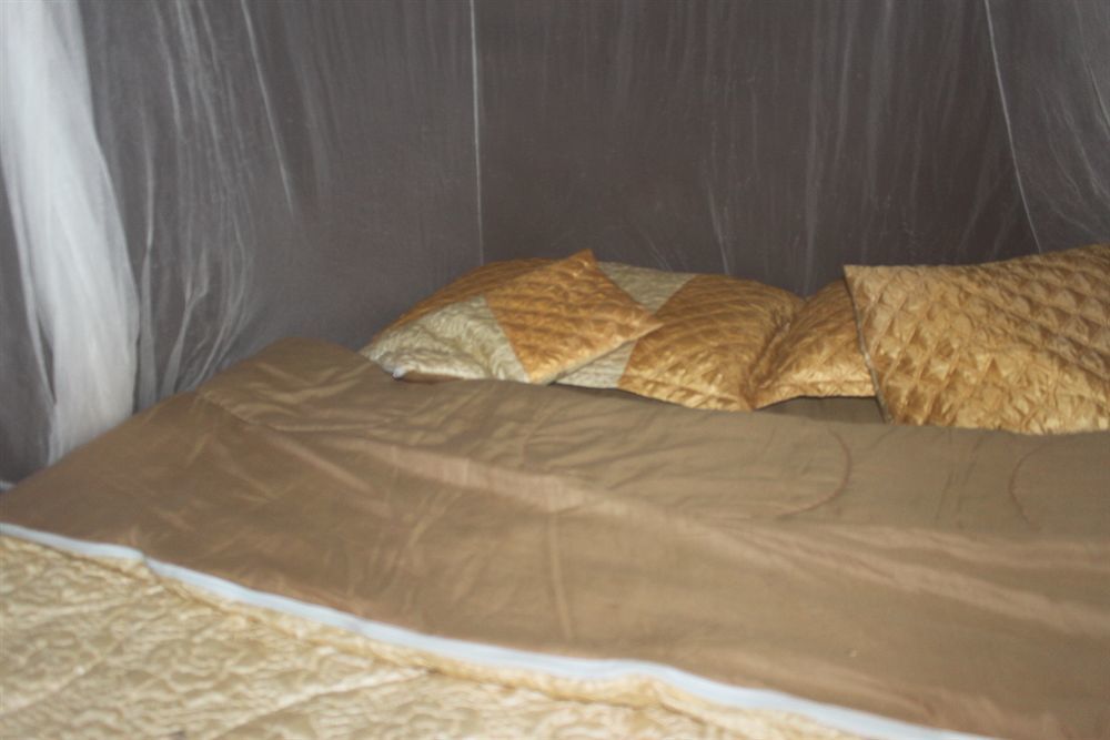 Zinga Backpackers Livingstone Exterior foto