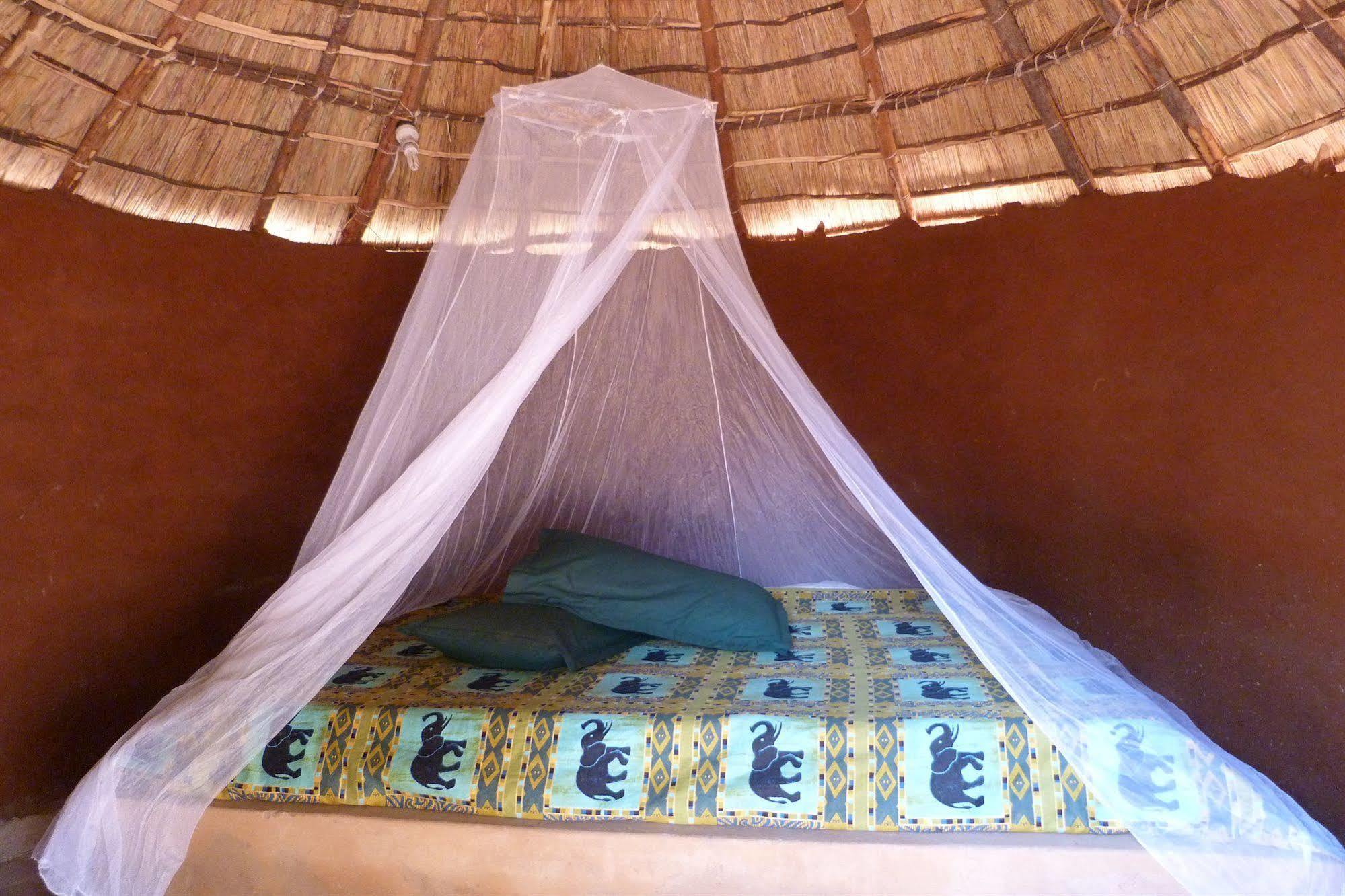 Zinga Backpackers Livingstone Exterior foto