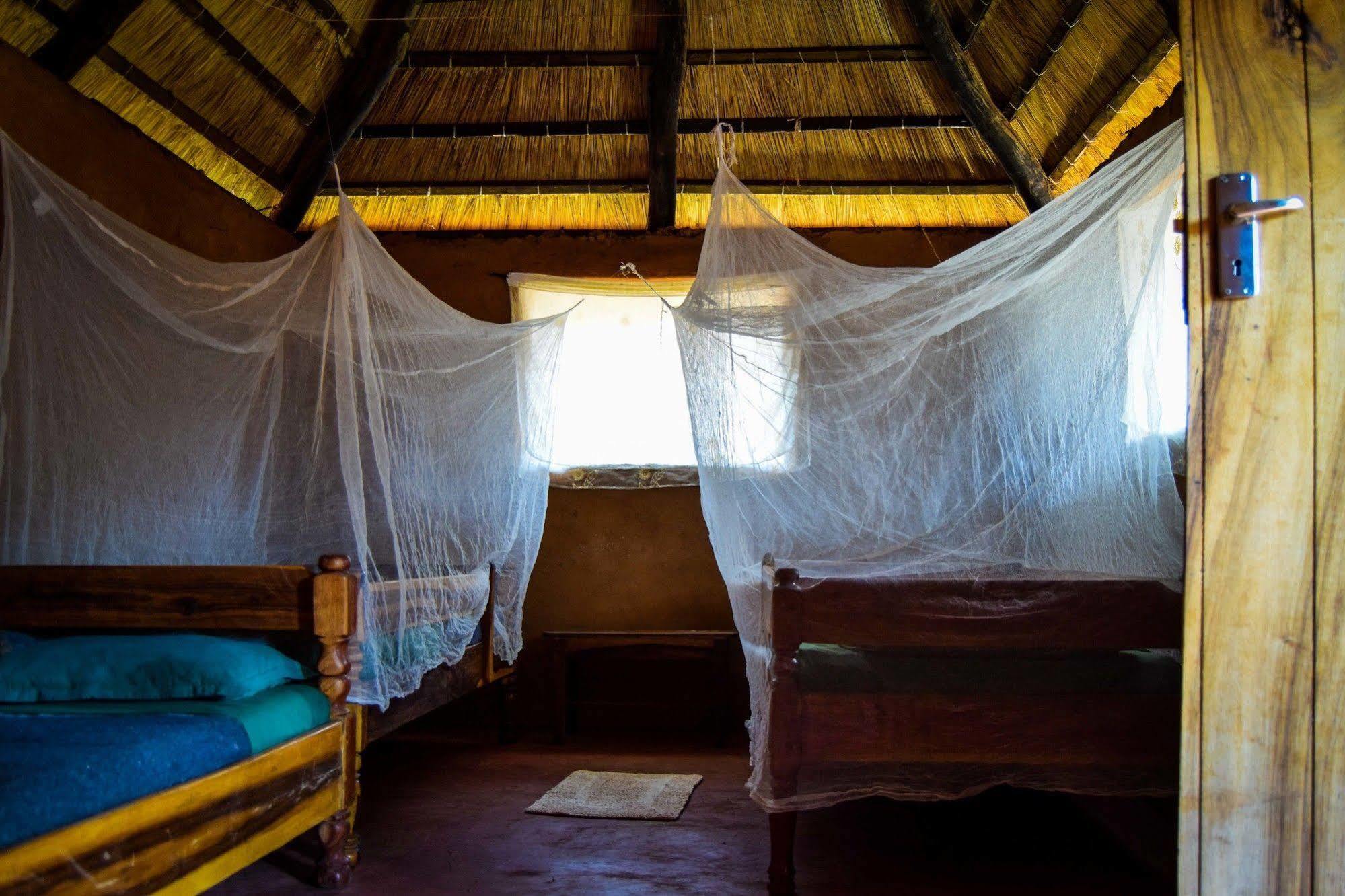 Zinga Backpackers Livingstone Exterior foto